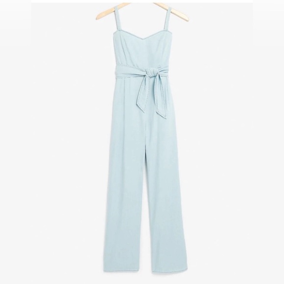 Express Denim Jumpsuit - Picture 2 of 10